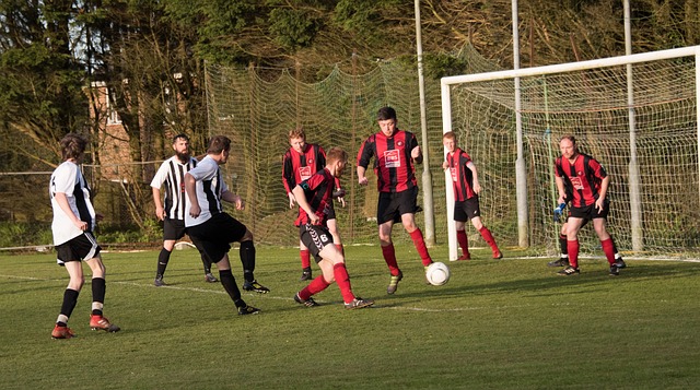 在极大地提 在极大地提