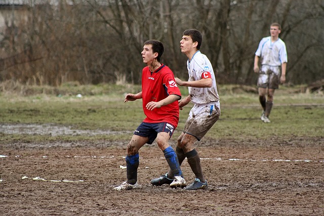 媒体大肆报 媒体大肆报