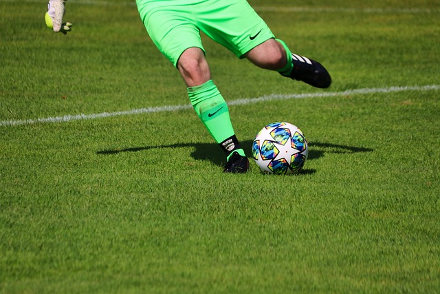 在寻找职业 在寻找职业