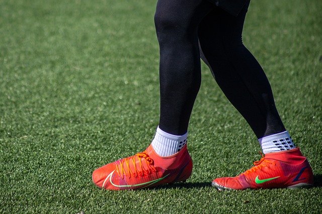 爾陣容名單 爾陣容名單