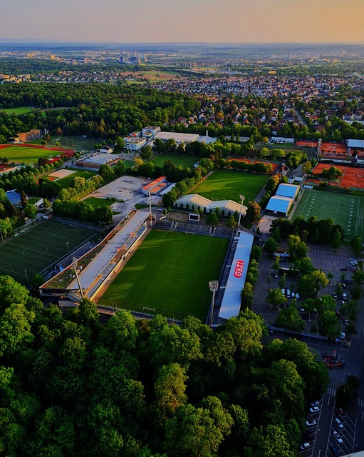 顽强的意志 顽强的意志