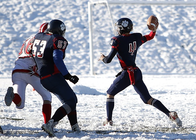 术执行者 术执行者