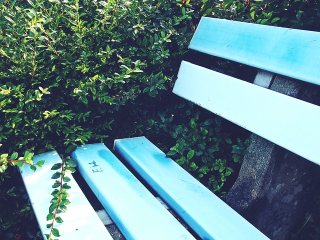 远的胜利目 远的胜利目