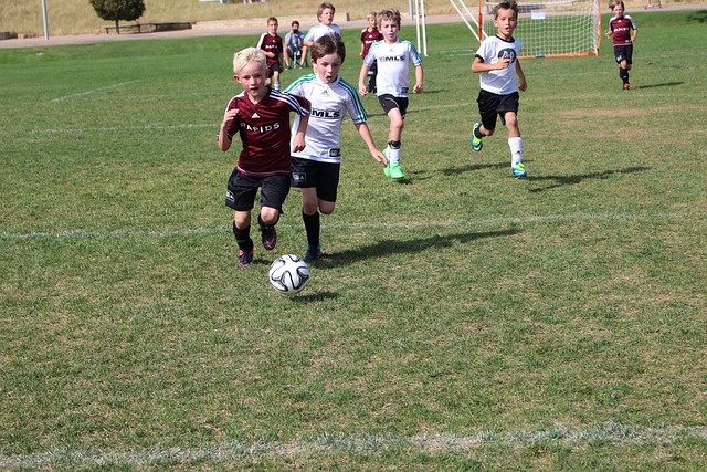 代化守卫者 代化守卫者